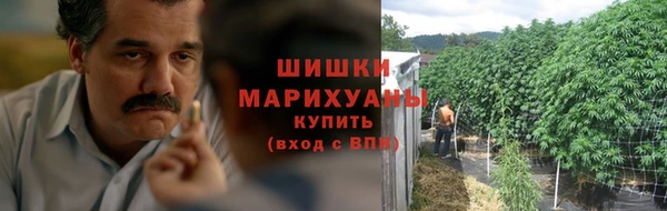ГАЛЛЮЦИНОГЕННЫЕ ГРИБЫ Абаза
