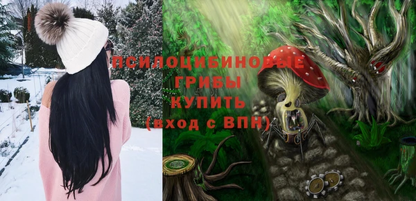 соль ск Абдулино