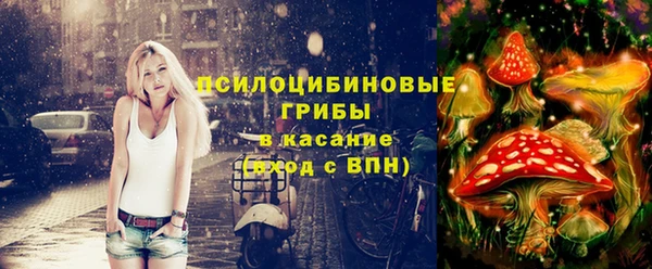 соль ск Абдулино