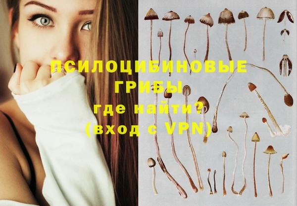 скорость Нея