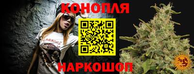спиды Гатчина