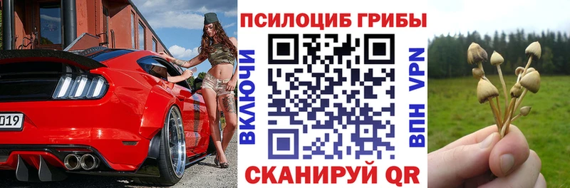 Галлюциногенные грибы Psilocybe  Красный Сулин 