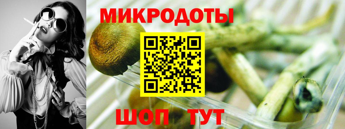 Псилоцибиновые грибы MAGIC MUSHROOMS  Вход с VPN  Псилоцибиновые грибы Psilocybe  Красный Сулин 