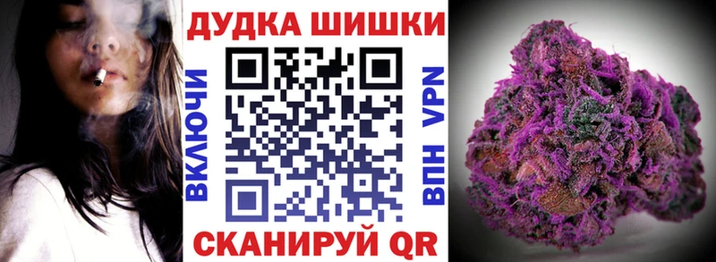 Бошки марихуана OG Kush Красный Сулин